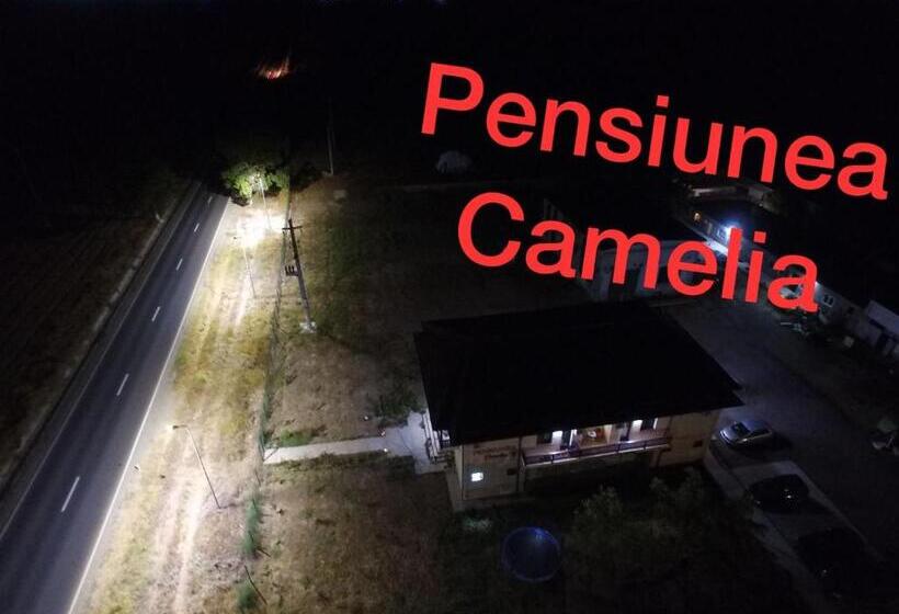 스탠다드 룸, Pensiunea Camelia