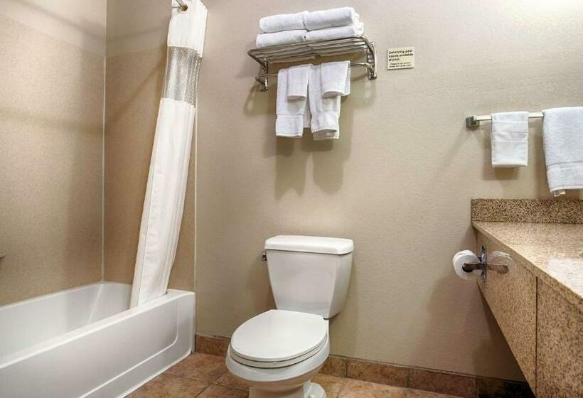 اتاق استاندارد با تخت بزرگ, Best Western Plus Eastgate Inn & Suites