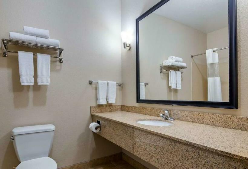 اتاق استاندارد با تخت بزرگ, Best Western Plus Eastgate Inn & Suites