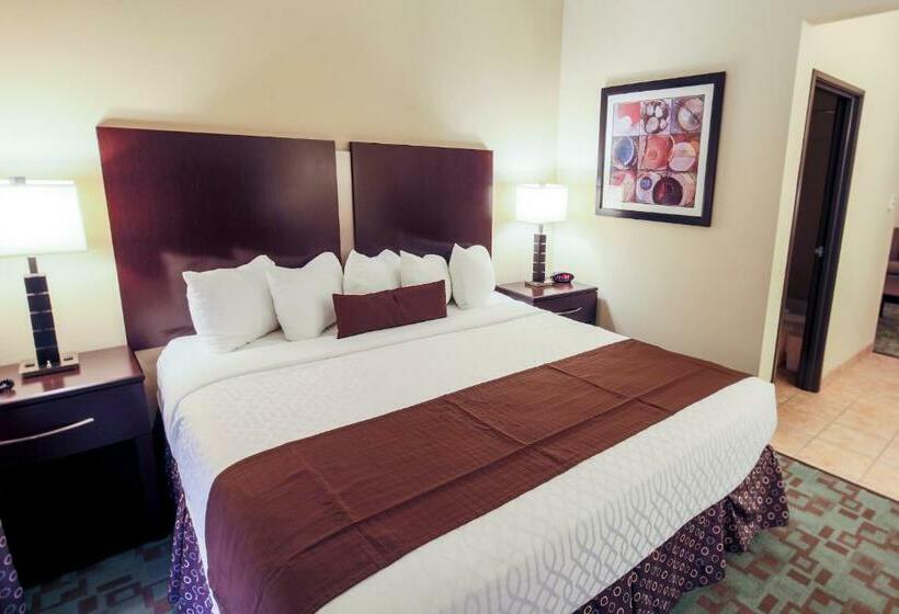 اتاق استاندارد با تخت بزرگ, Best Western Plus Eastgate Inn & Suites