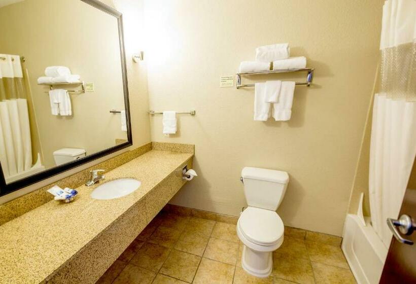 اتاق استاندارد با تخت بزرگ, Best Western Plus Eastgate Inn & Suites