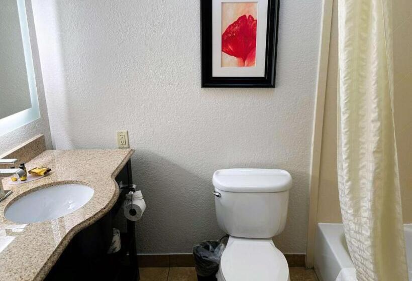 Люкс Кровать Кинг, Best Western Plus Jfk Inn & Suites