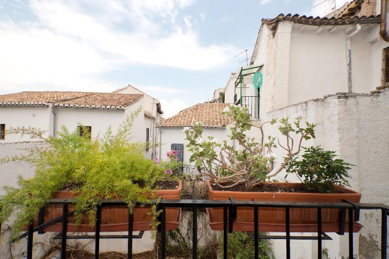 تختخواب در اتاق مشترک, Oasis Backpackers  Hostel Granada