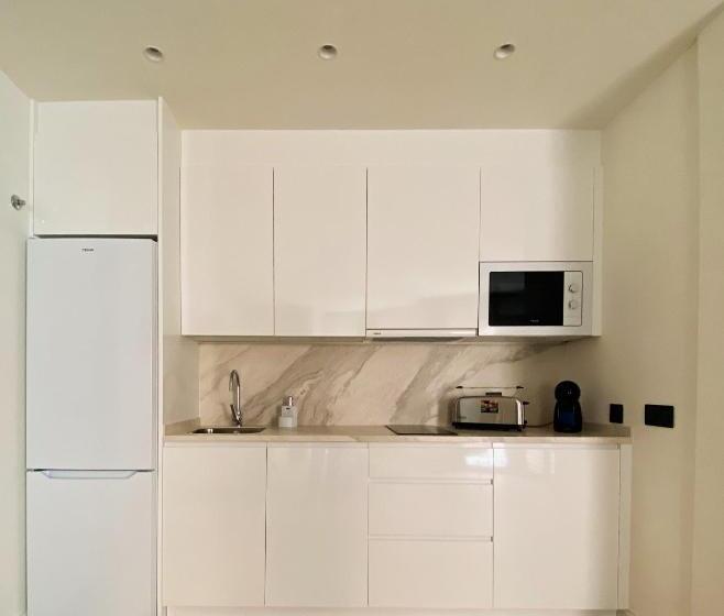 آپارتمان دوبلکس 1 خوابه, Apartamentos Málaga Premium   Calle San Telmo