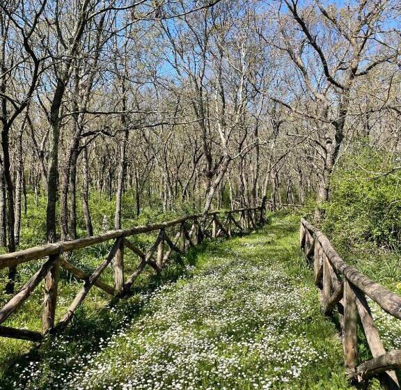 스탠다드 룸 킹사이즈 침대, Masseria La Mandra