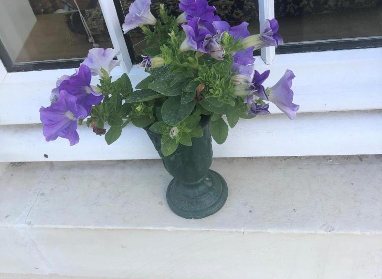 침실 1개 아파트, Grand Gite En Rez De Jardin