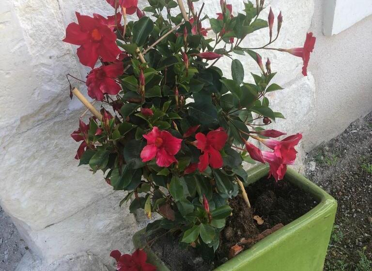 침실 1개 아파트, Grand Gite En Rez De Jardin