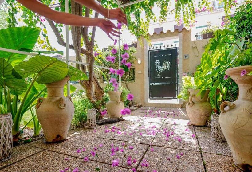 Номер Стандарт, Villabeachcity Guesthouse