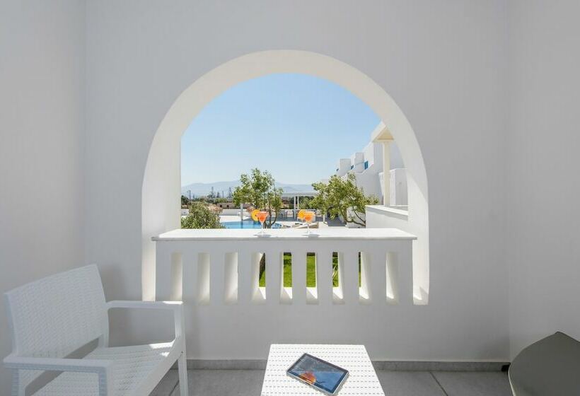 اتاق اکونومی یک تخته, Cycladic Islands Hotel & Spa