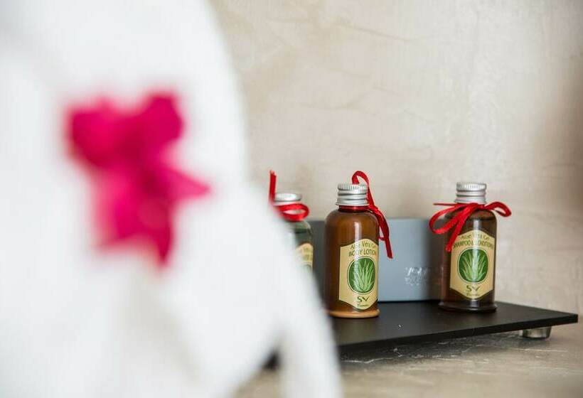 اتاق اکونومی یک تخته, Cycladic Islands Hotel & Spa