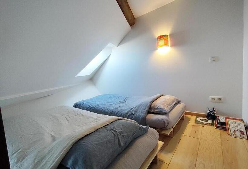 Quarto Estandar, Cochlea