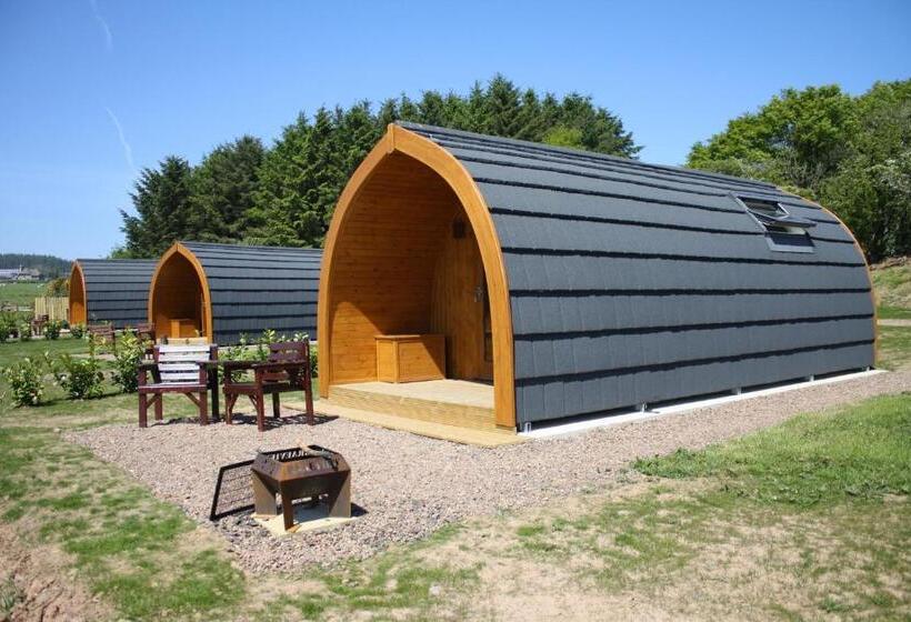 Студия Deluxe, Braeview Glamping