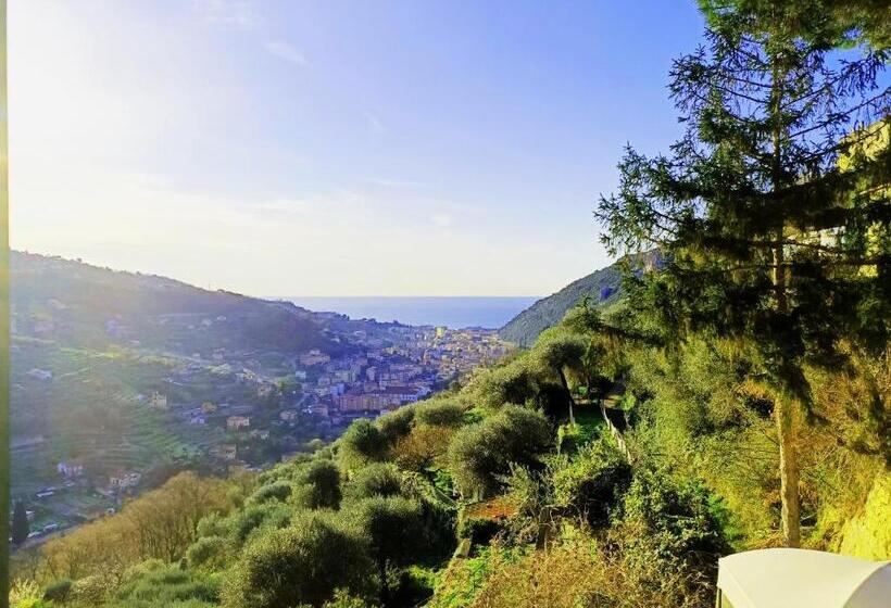 اتاق لوکس, Cà Degli Ulivi