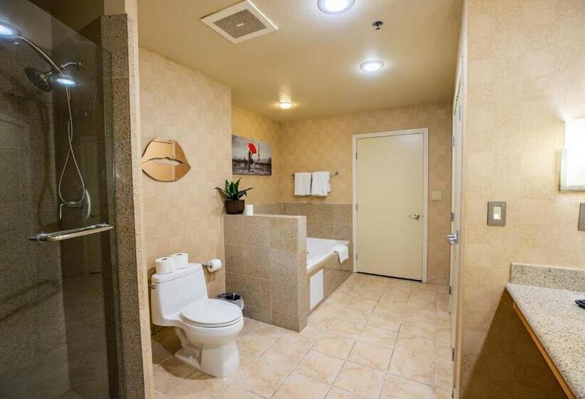 1 Bedroom Penthouse Apartment, 2100 Sqft Penthouse Suite W/ Strip Views! Pool Gym