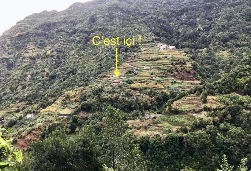Habitación Estándar Vista Montaña, Maderedocevida