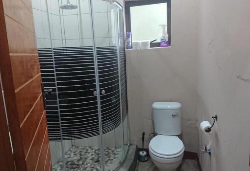 استودیوی استاندارد, Svh Bush Lodge