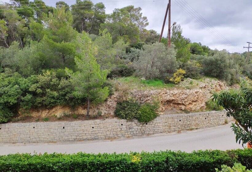 اتاق کلاسیک, Xenia Poros Image