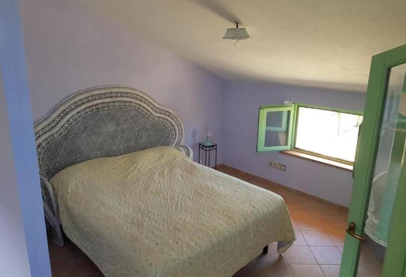 Standart Oda, Le Rondini