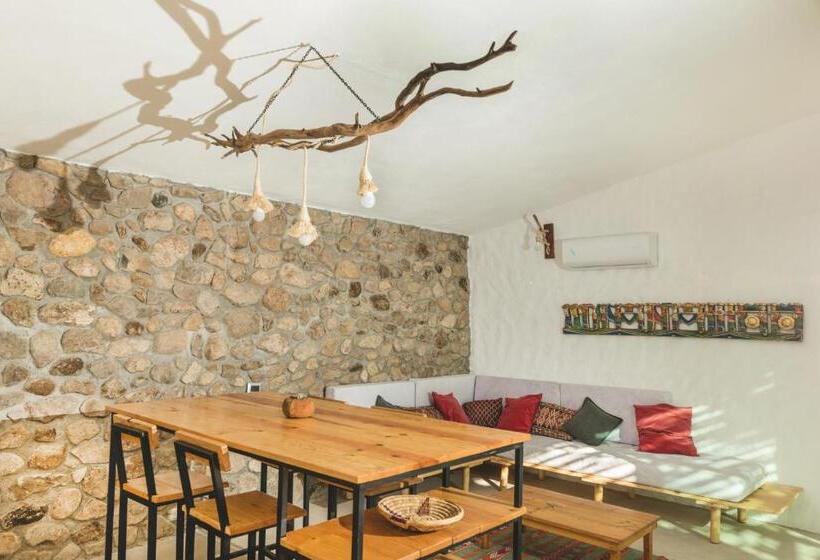 家族用バンガロー, Toninas México Bungalow Cardenal