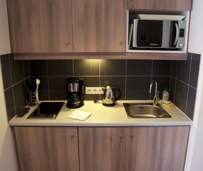 Апартаменты 1 Спальня, Comfort Aparthotel Saint Etienne