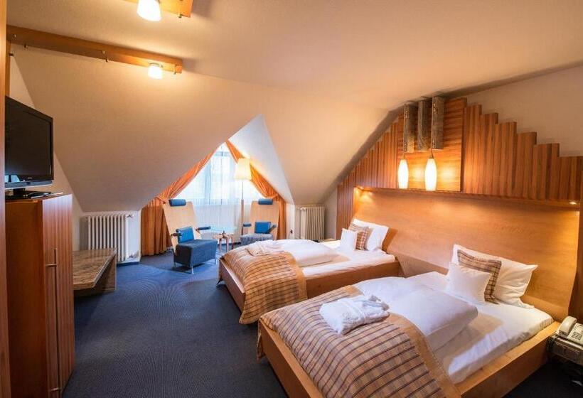 Номер Стандарт, Göbels Schlosshotel Prinz Von Hessen