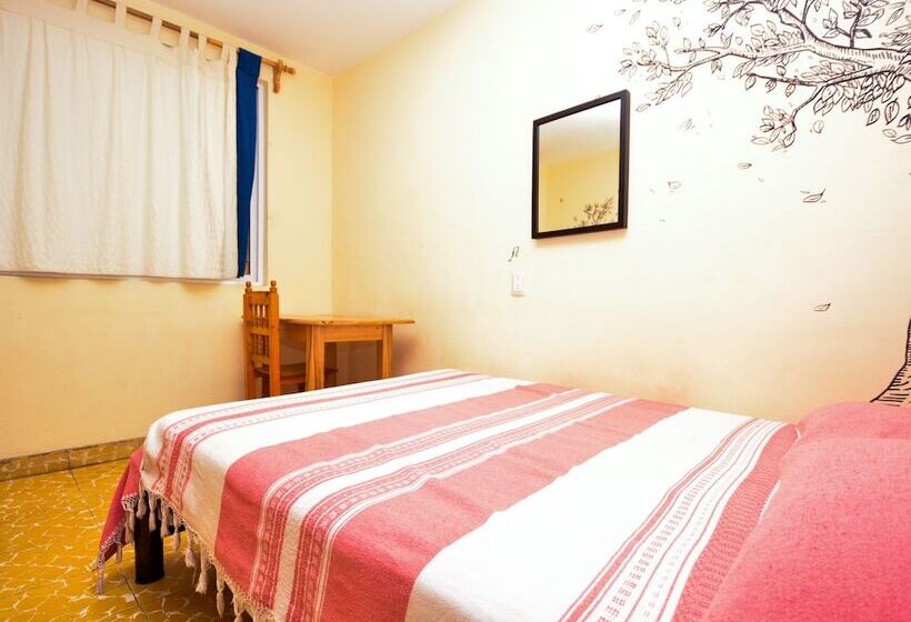 اتاق استاندارد, Los Nardos Hostel