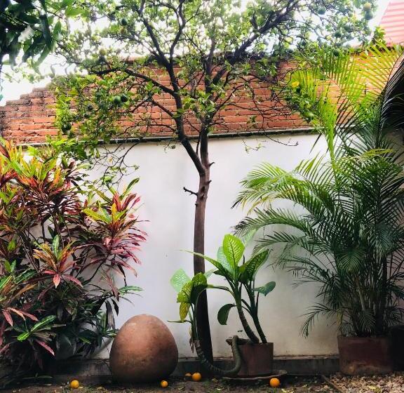 اتاق استاندارد چهار تخته, Los Nardos Hostel