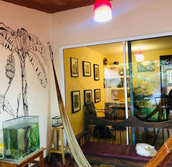 اتاق اکونومی, Los Nardos Hostel