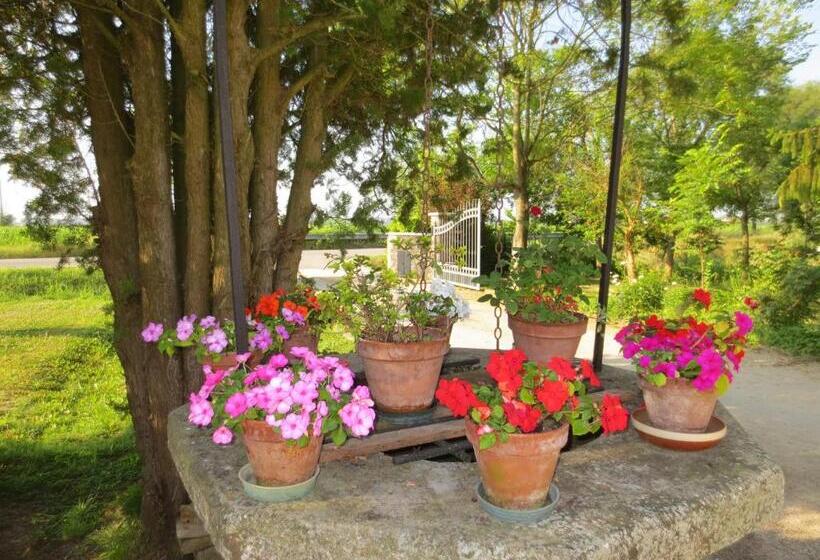 اتاق استاندارد, Borgo Tarapino