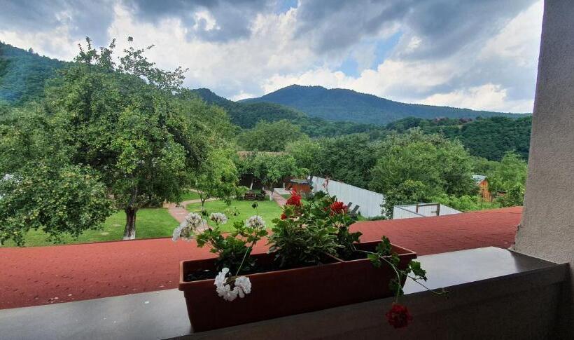 ویلای سوپریور 1 خوابه, Vila Crisalia Sibiel Sibiu