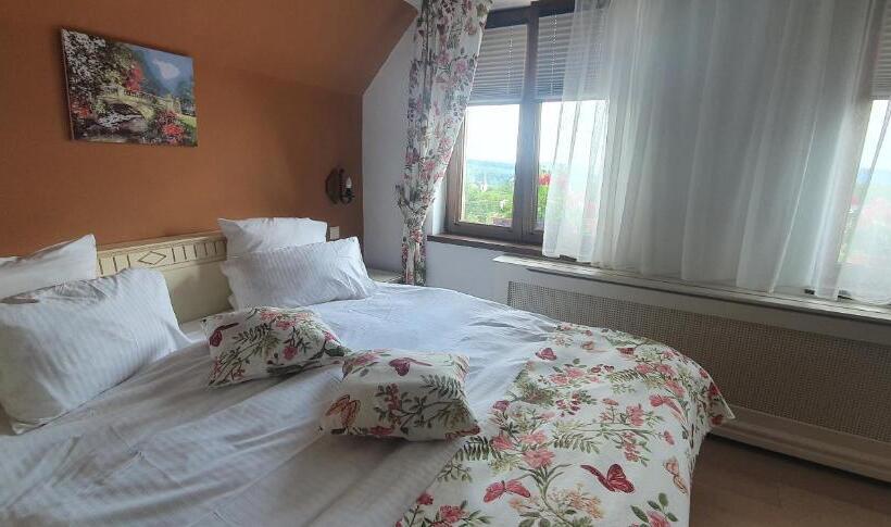 ویلای سوپریور 1 خوابه, Vila Crisalia Sibiel Sibiu