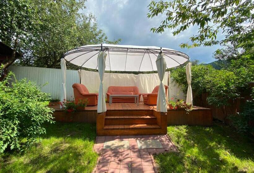 ویلای سوپریور 1 خوابه, Vila Crisalia Sibiel Sibiu