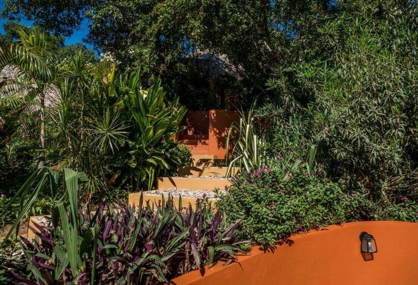 بانگلوی استاندارد, Cabañas Amaia