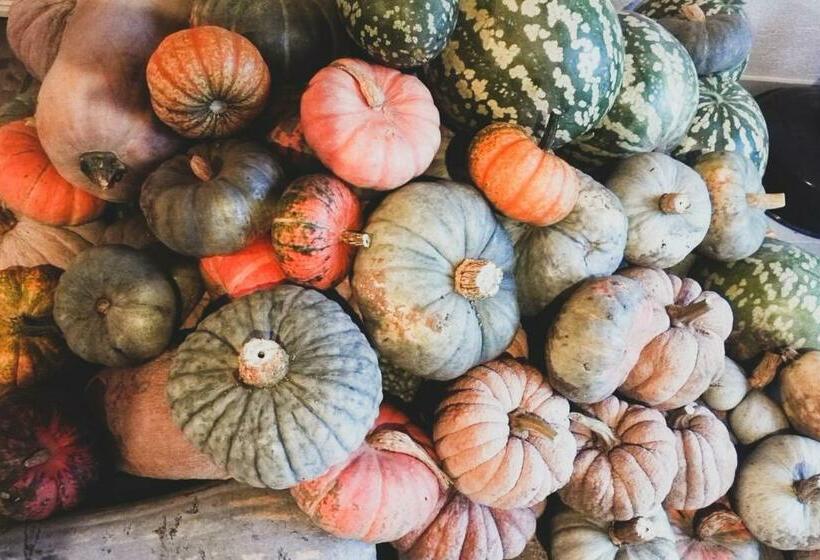 اتاق استاندارد, Agriturismo Fiori Di Zucca