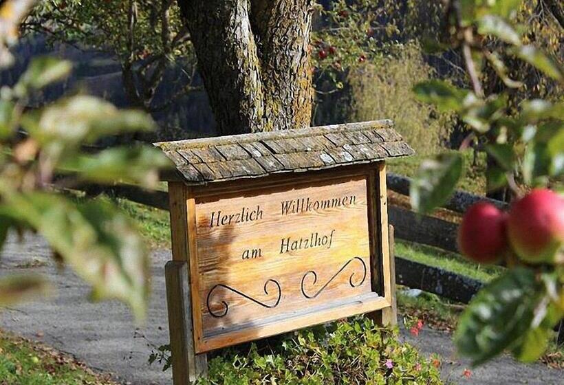 Апартаменты 1 Спальня, Bauernhof Hatzlhof