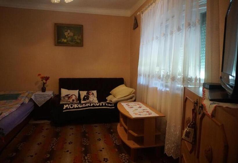 Семейный Номер Совместный Санузел, Piri Vendégház