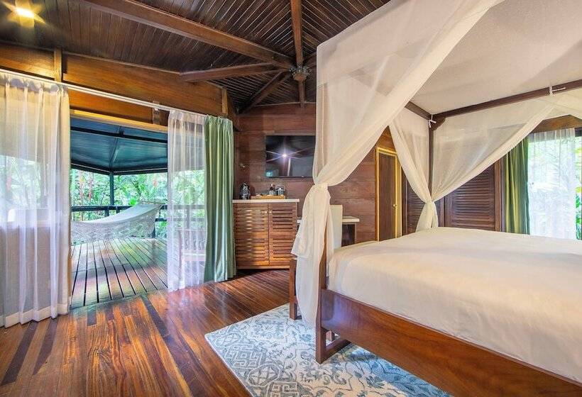 بانگلوی لوکس, Chachagua Rainforest Hotel & Hot Springs