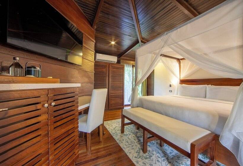 بانگلوی لوکس, Chachagua Rainforest Hotel & Hot Springs