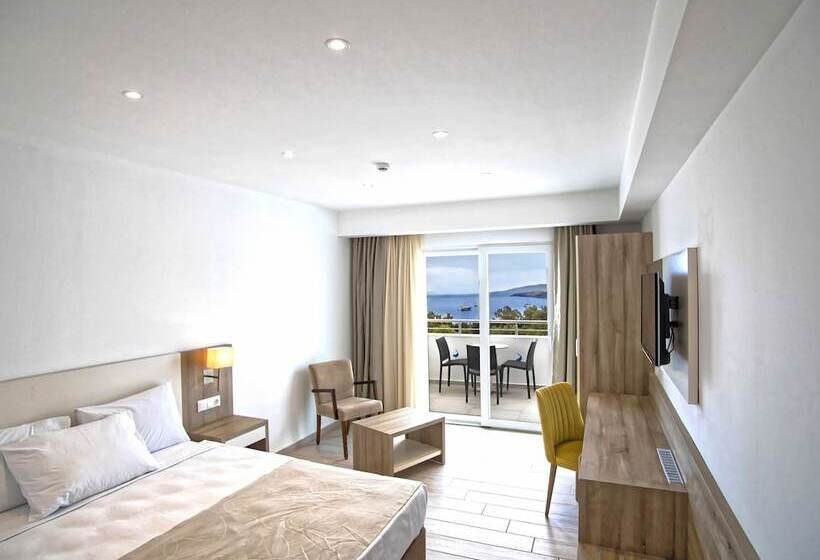 Quarto Estandar Individual, Club Shark