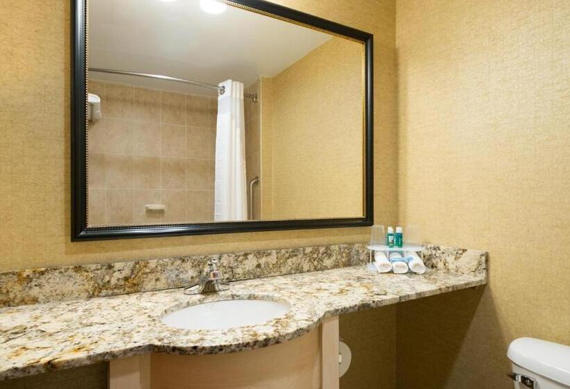 اتاق استاندارد با تخت بزرگ برای معلولان, Holiday Inn Express Wall Street, An Ihg Hotel