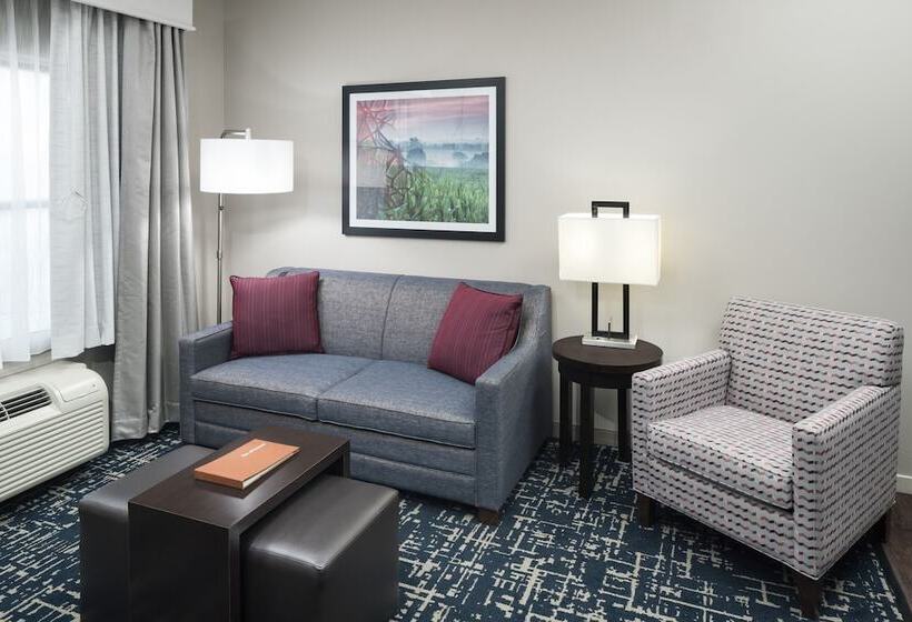 سوییت, Homewood Suites By Hilton Cedar Rapidsnorth
