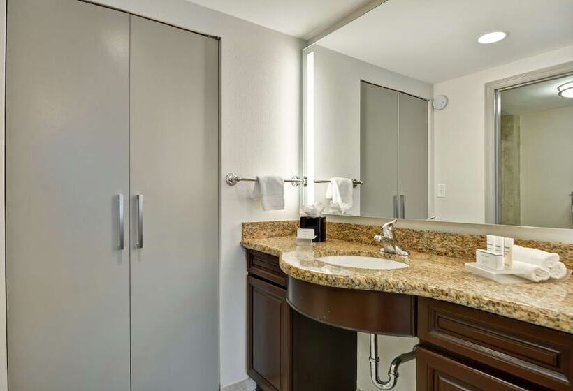 Люкс 2 Спальни, Homewood Suites By Hilton Lake Buena Vista  Orlando