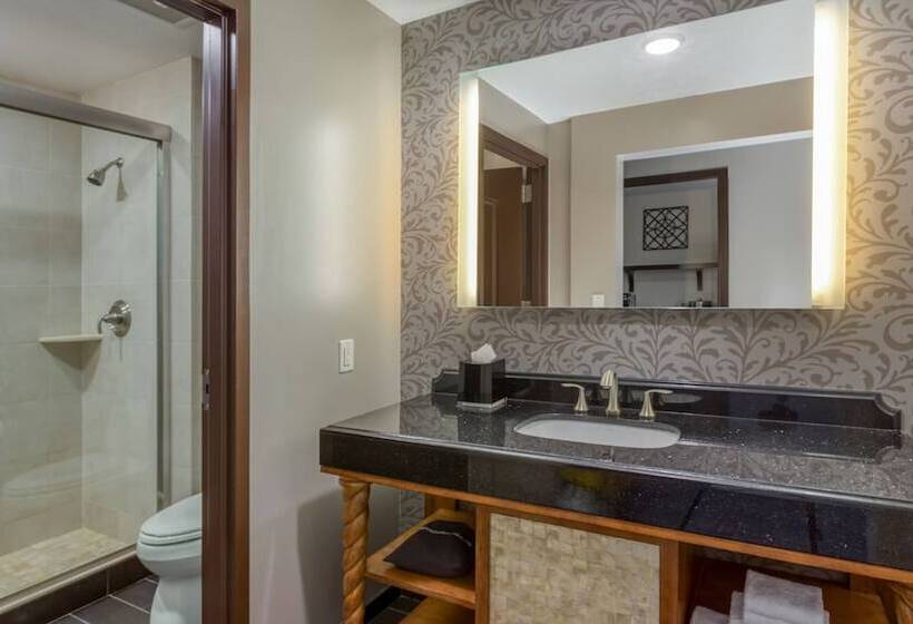 اتاق خانوادگی, Wyndham Grand Orlando Resort Bonnet Creek