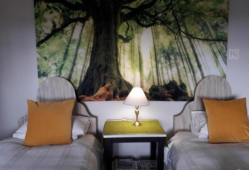 Quarto Estandar, The Nest