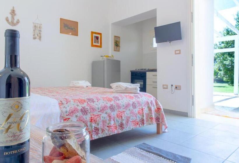 استودیوی استاندارد, Tenuta Don Carmelo