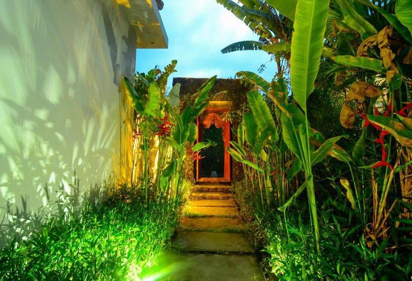 Bungalow Standard Vista Jardim, Bintang House