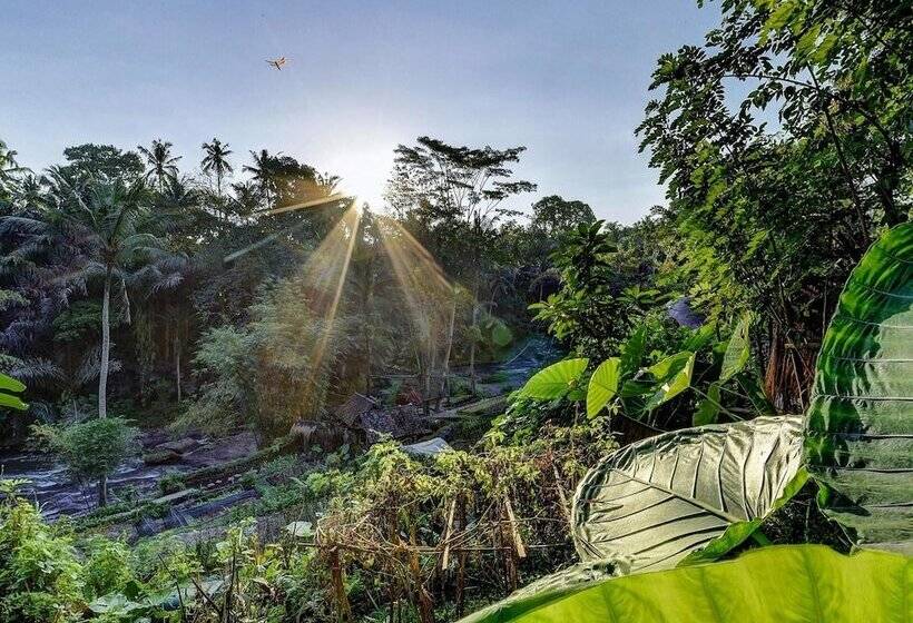 디럭스 룸, Bambu Indah