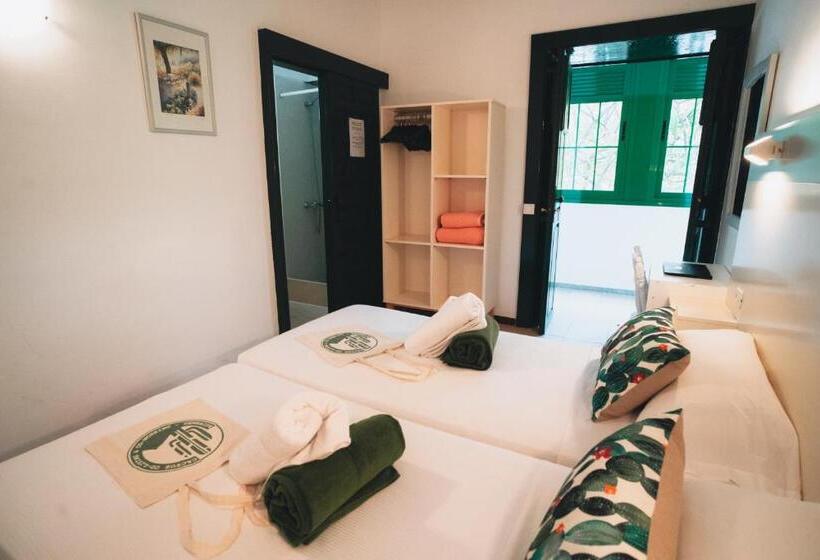 스탠다드 룸, Cactus Hostel