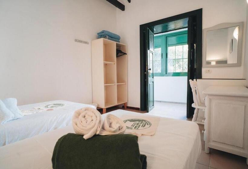 Номер Стандарт Совместная Ванная, Cactus Hostel