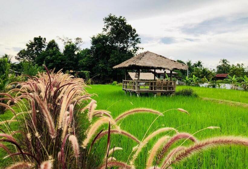 اتاق استاندارد با تراس, Baan Thung Home Stay